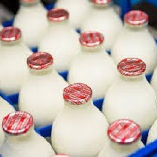 Milk In Glass Bottles